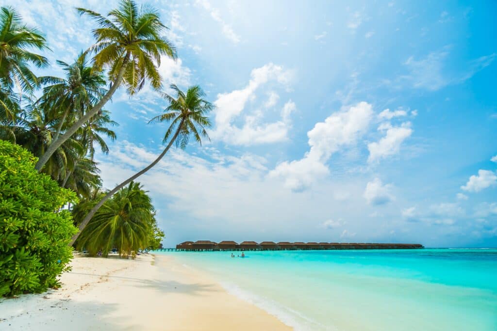 Maldives-island